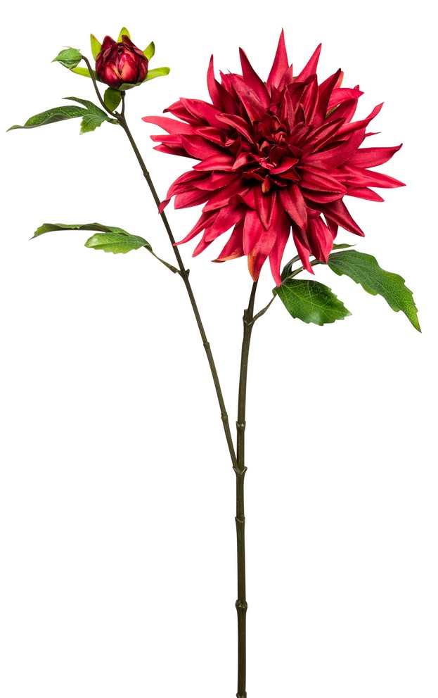 Dahlie x 2 63cm Blütenkopf Ø ca. 15cm Farbe: altrot