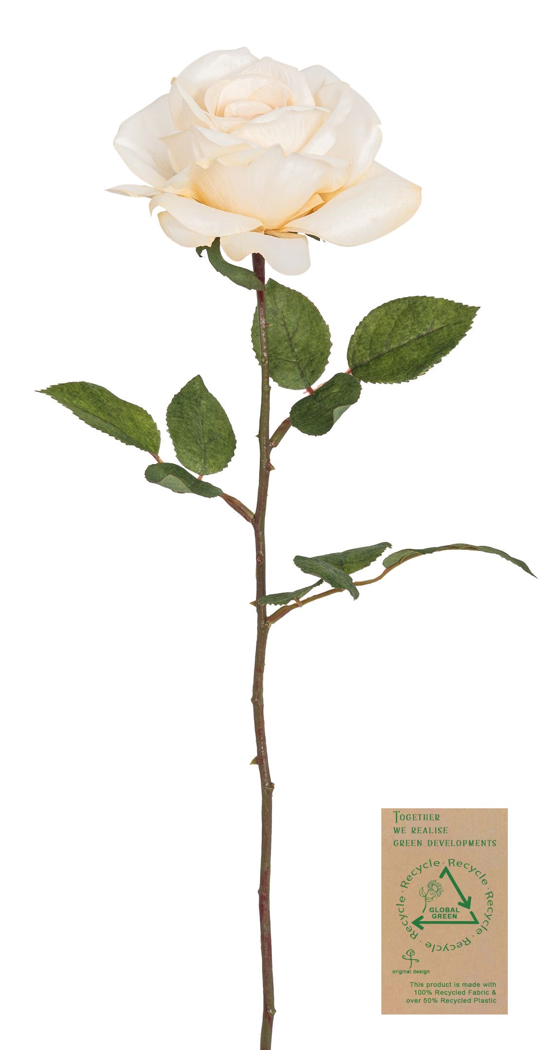 Prachtrose RE 63cm Blütenkopf Ø ca. 15cm Farbe: elfenbein