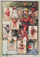 Poster-Flower-Fairies VIII Farbe: grau