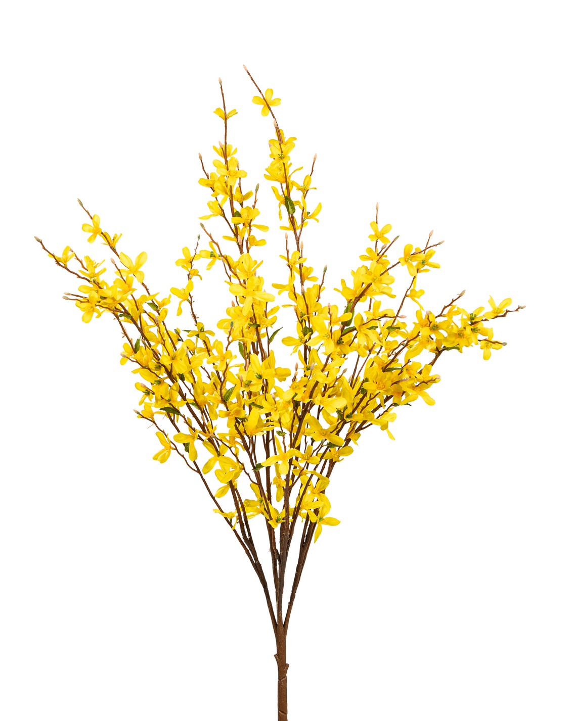 Forsythienbusch 5-fach 80cm Farbe: gelb