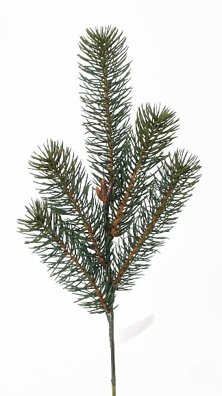 Nordmanntannenzweig 5-f. 38cm Farbe: grün