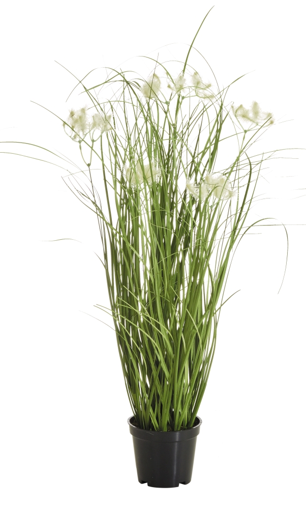 Schneemarbelgras x 7 i.T. 46cm Farbe: elfenbein