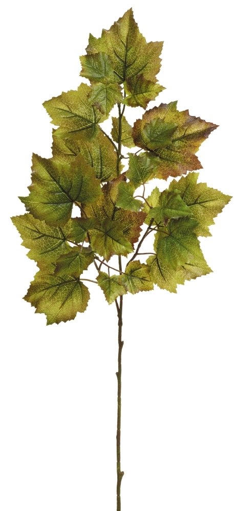 Weinlaubzweig 3-fach 70cm Farbe: grün