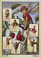 Poster-Flower-Fairies XII Farbe: grau