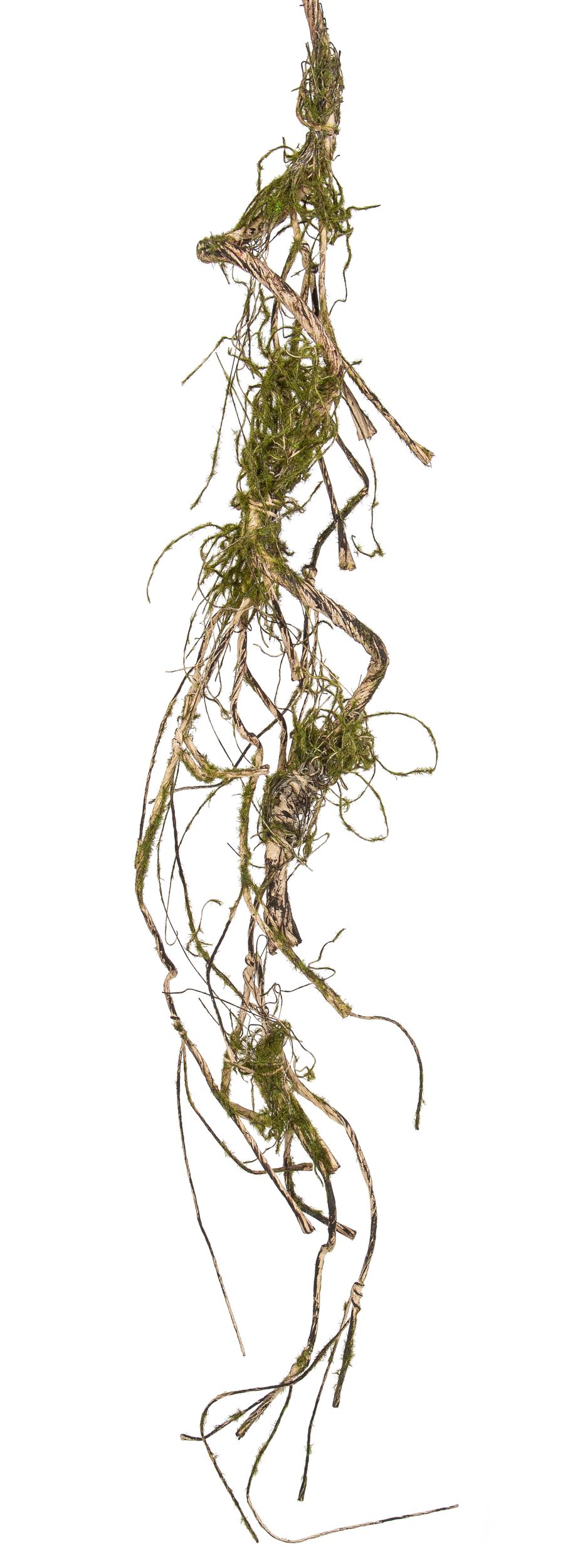 Moosflechtenranke 70cm Farbe: natur