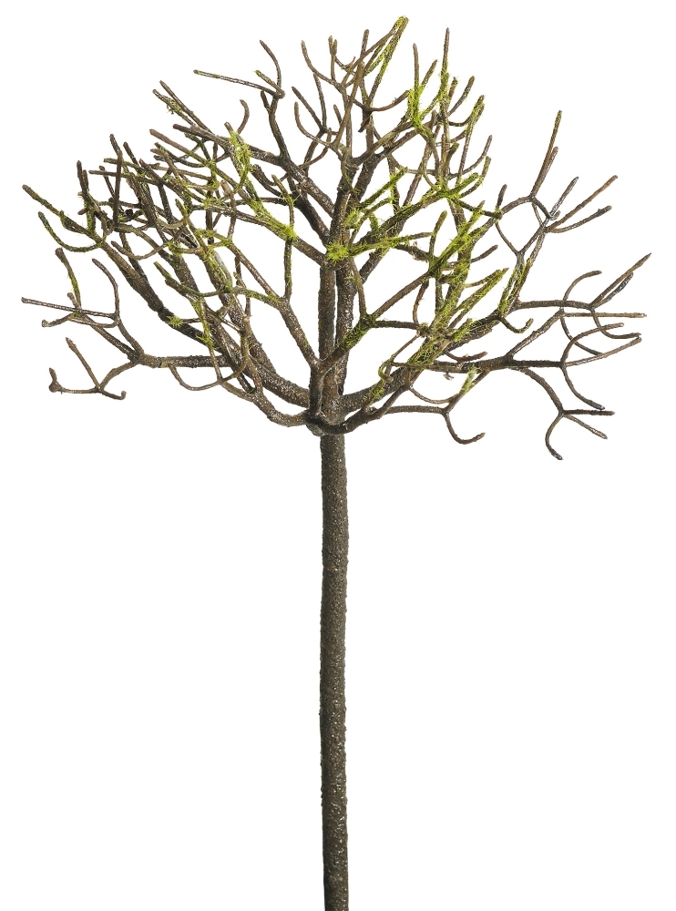 Korallenmoosbusch 5-fach 37cm Farbe: braun-grün