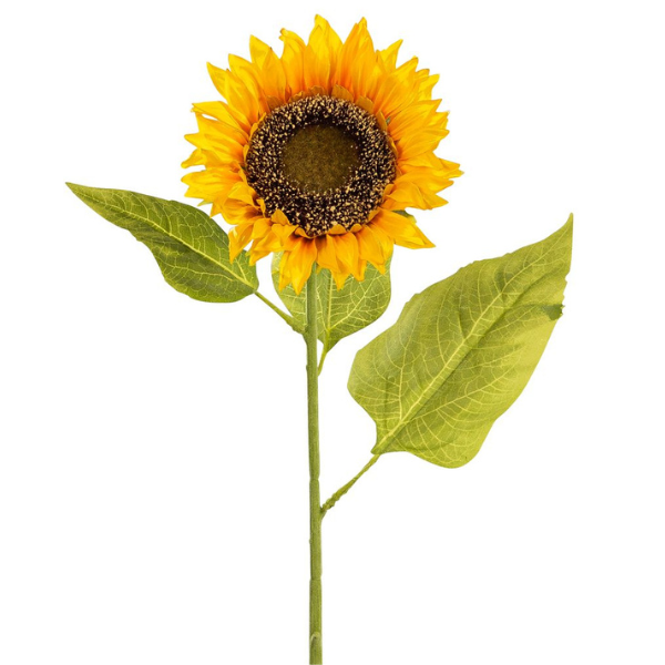 Sonnenblumen