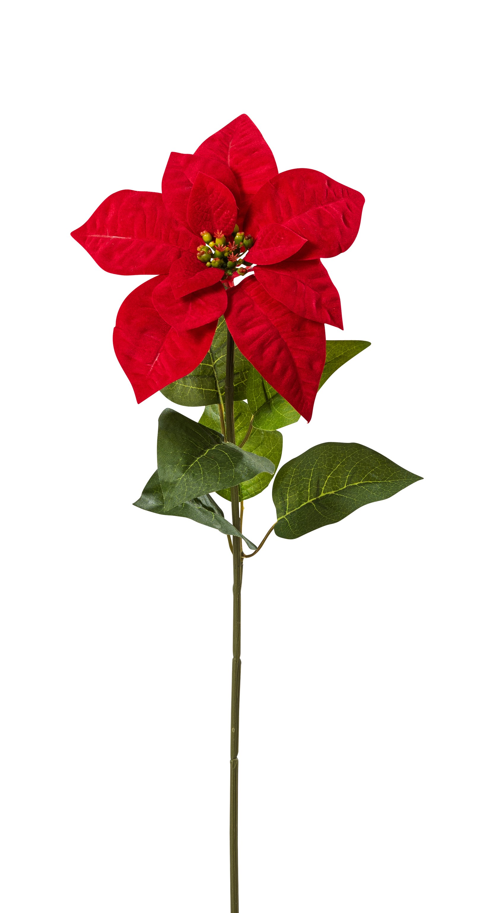 Velvet-Poinsettia mit Blätter 55cm Blütenkopf Ø ca. 21cm Farbe: rot