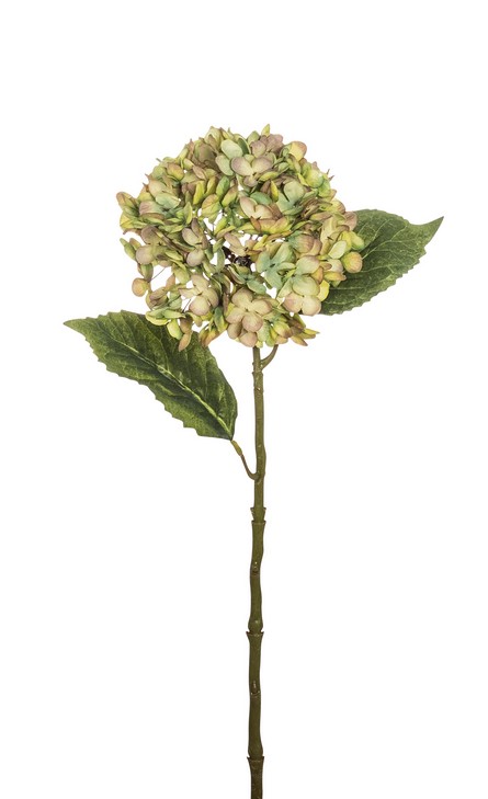 Hortensie 55cm Blütenkopf Ø ca. 15cm Farbe: grün