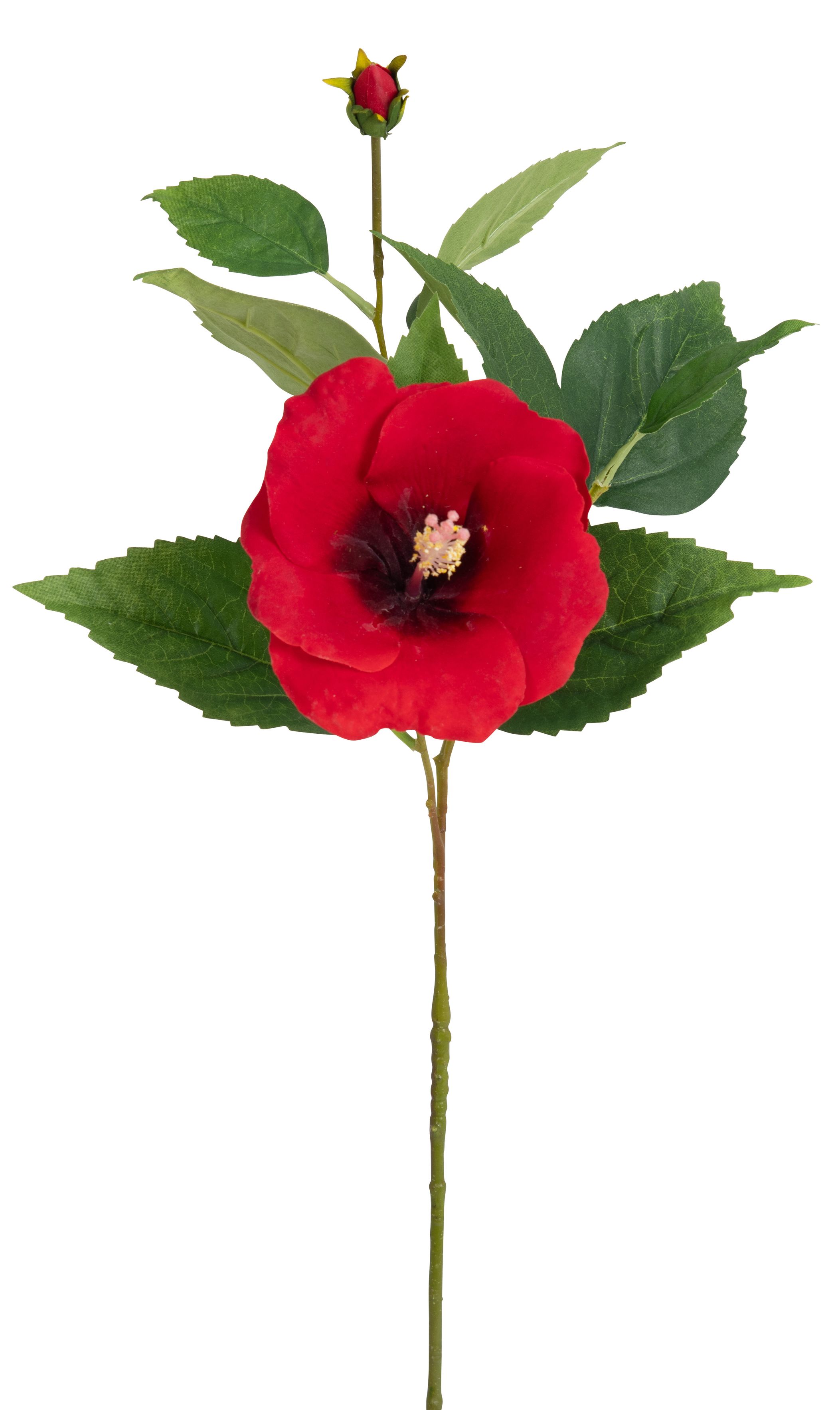 Hibiskus x 2 72cm Blütenkopf Ø ca. 2/12cm Farbe: rot