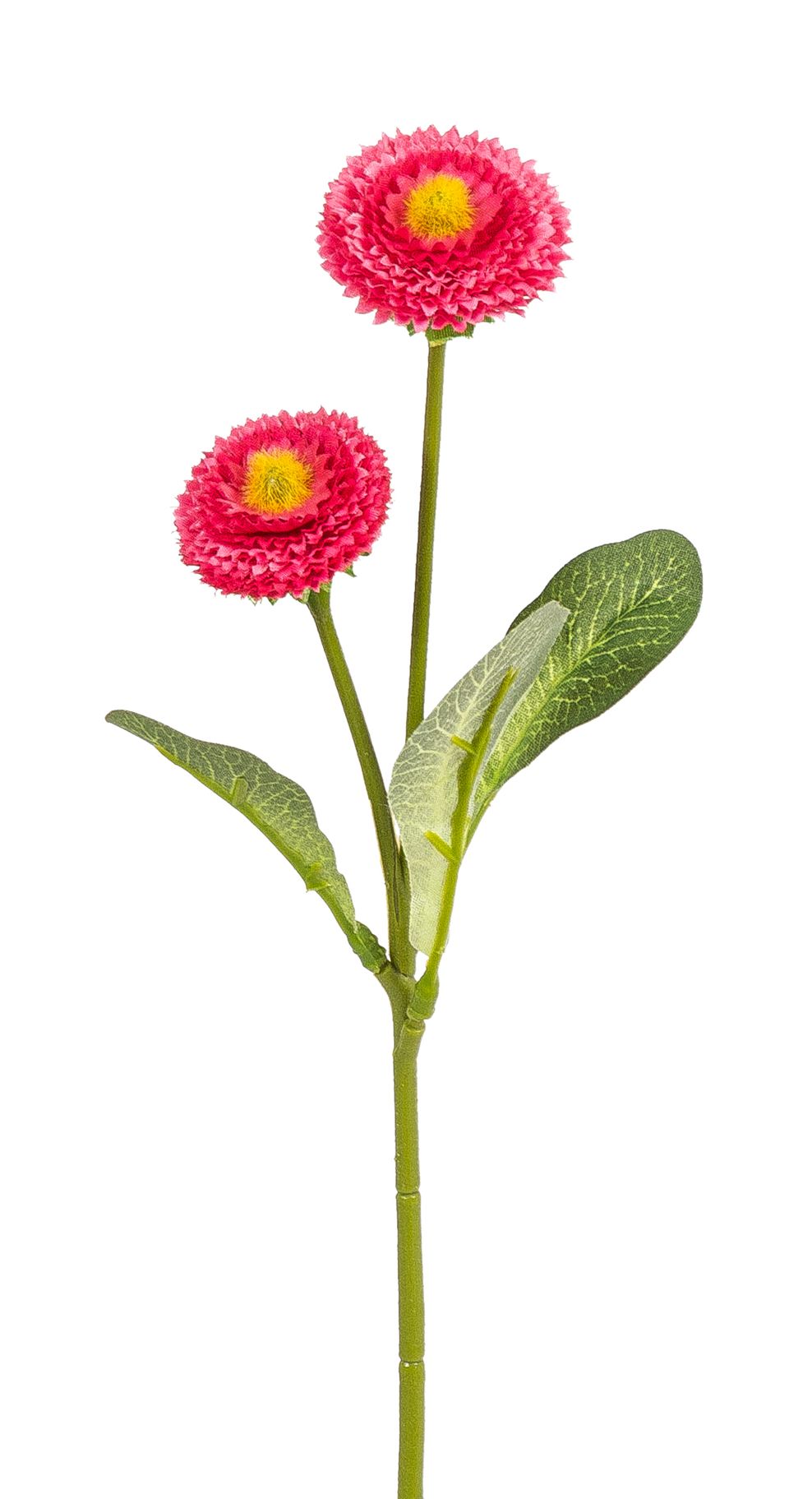 Bellis x 2 28cm Blütenkopf Ø ca. 3,5/4cm Farbe: malve
