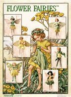 Poster-Flower-Fairies XI Farbe: grau