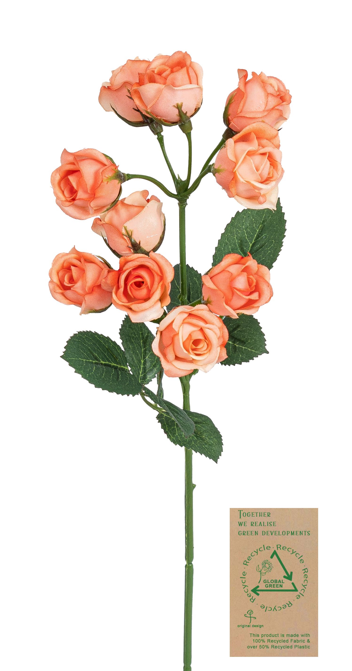 Minirosenzweig RE x 10 35cm Blütenkopf Ø ca. 2cm Farbe: lachs