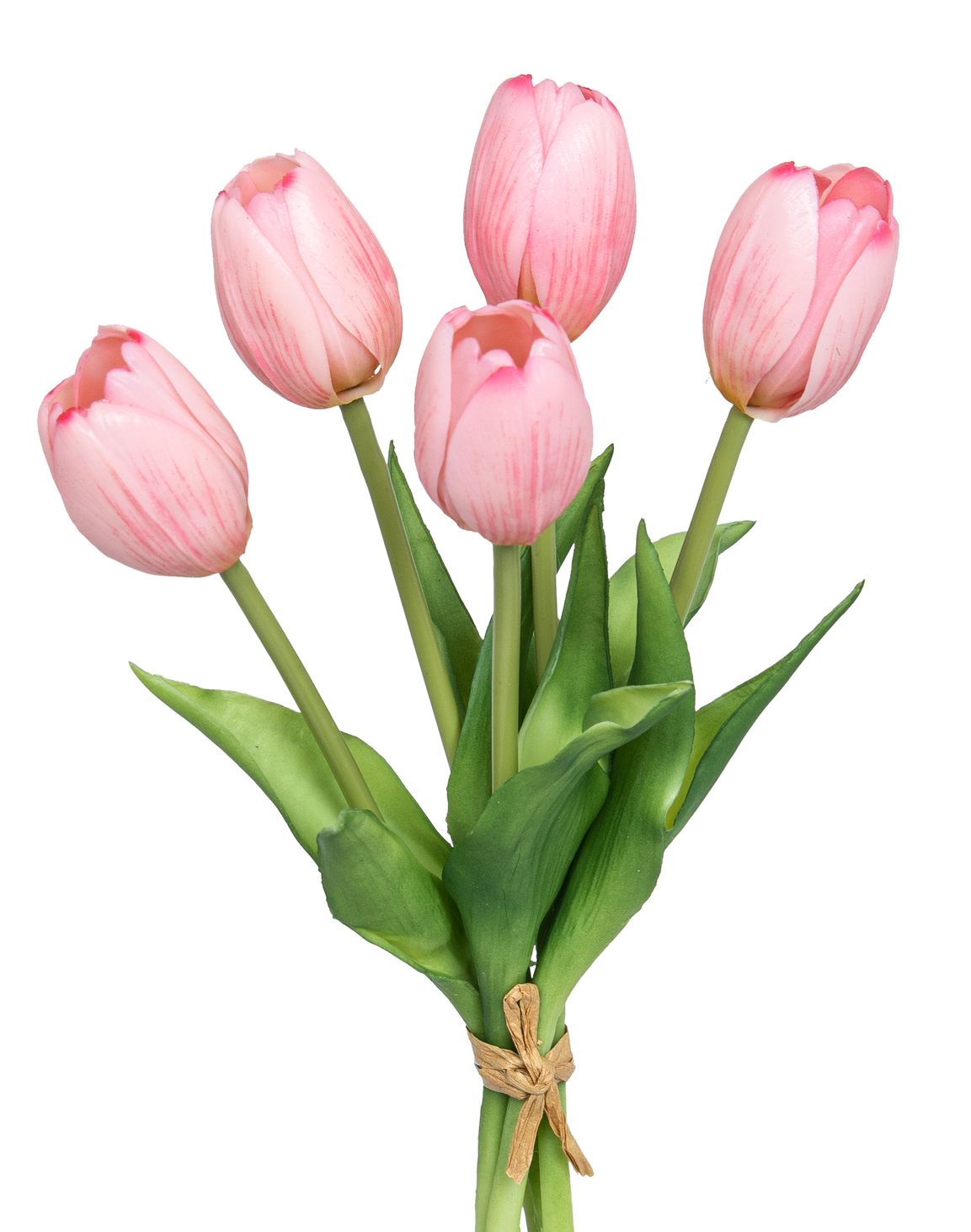 Tulpenbund x 5 26cm Blütenkopf Ø ca. 4cm Farbe: rosé
