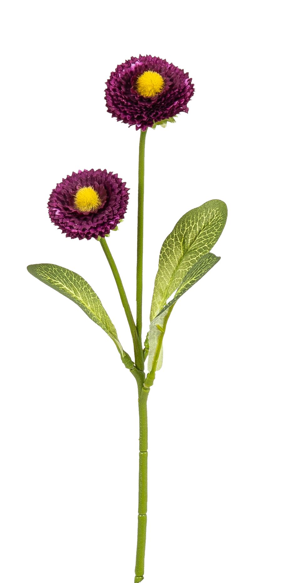 Bellis x 2 28cm Blütenkopf Ø ca. 3,5/4cm Farbe: dunkellila
