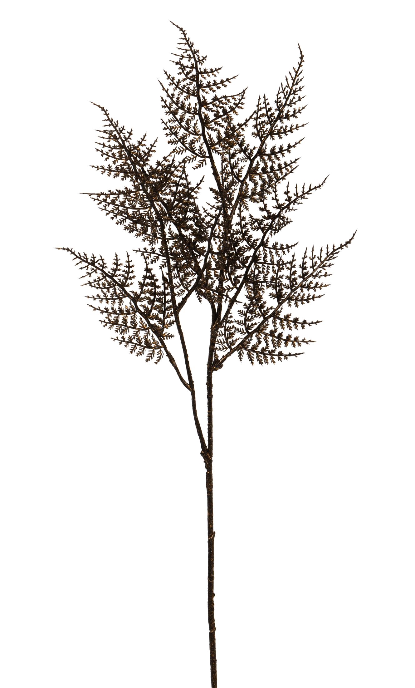 Farnzweig x 8 73cm Farbe: schwarz-gold