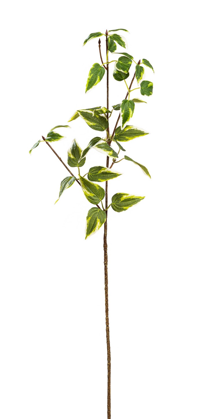 Efeututenblätterzweig 5-fach 64cm Farbe: grün-weiß