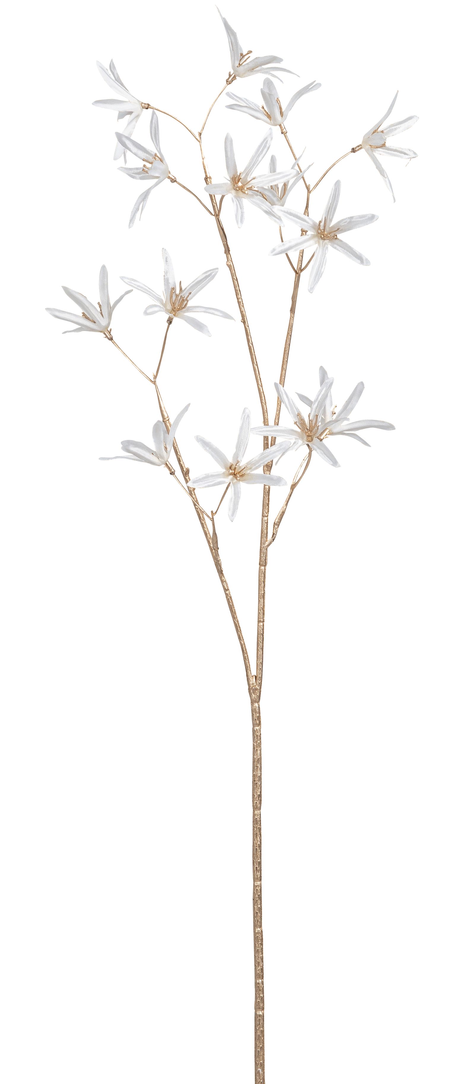 Sternblütenzweig x 14 71cm Blütenkopf Ø ca. 5,5cm Farbe: creme