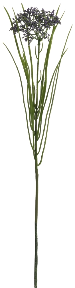 Dilldolde 50cm Farbe: dunkellila