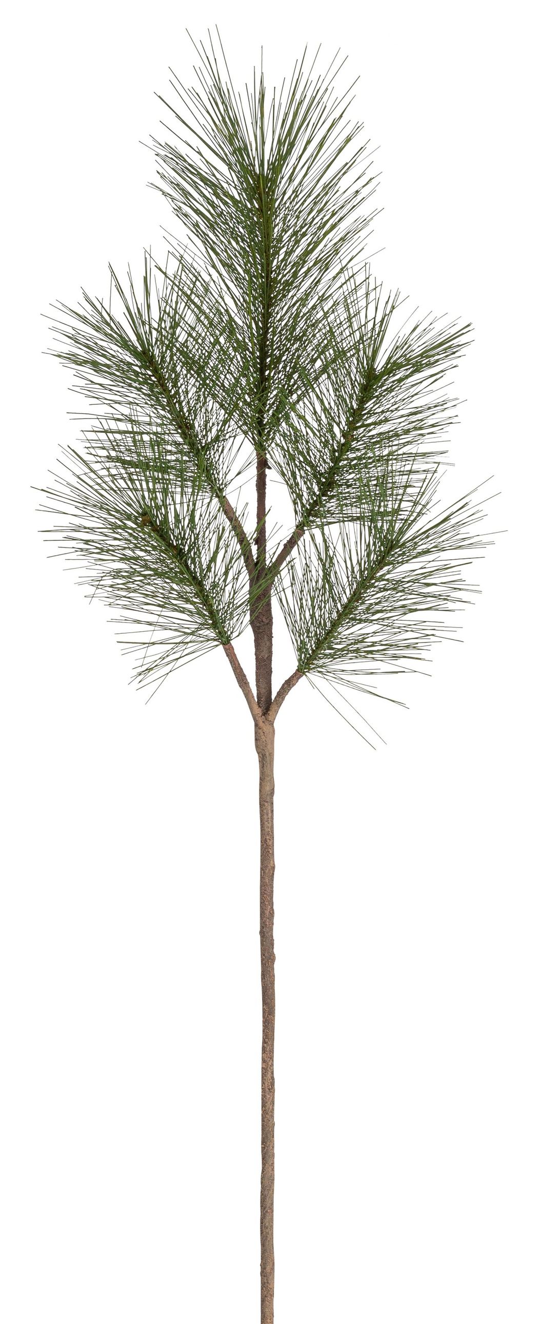 Seidenkiefernzweig x 5 78cm Farbe: grün