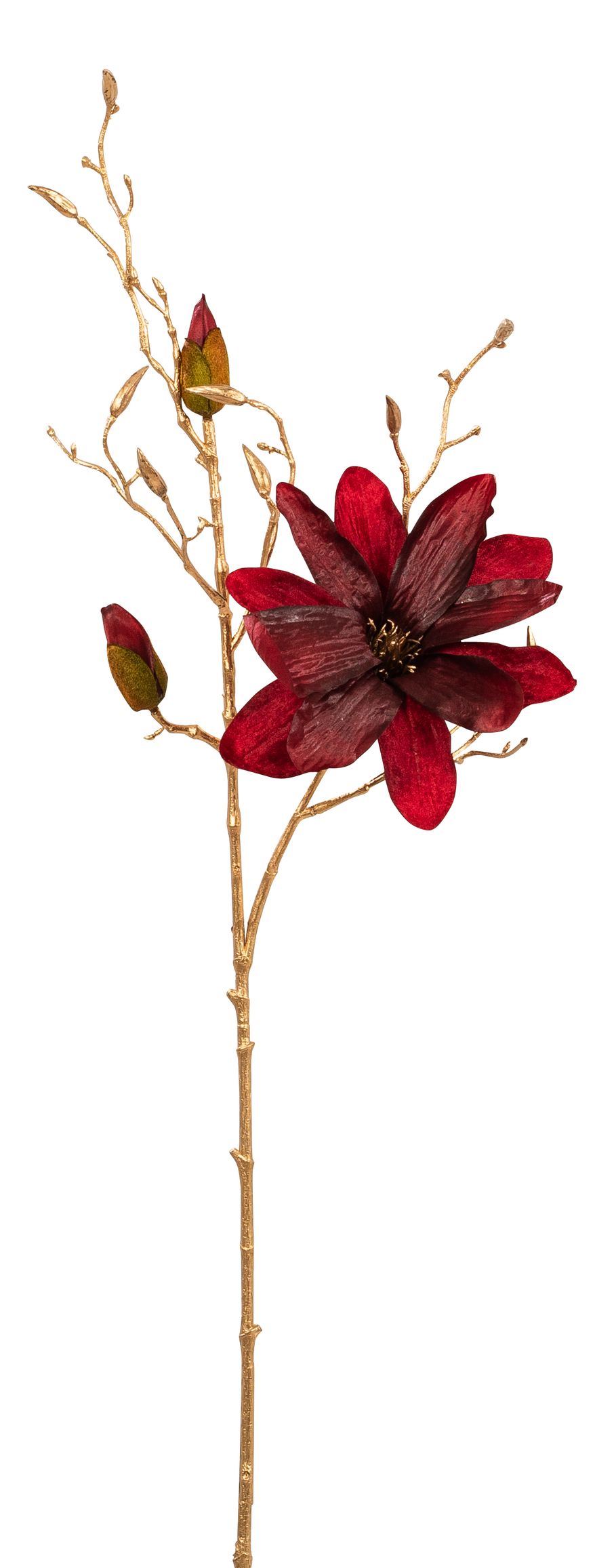 Velvet-Magnolie x 3 85cm Blütenkopf Ø ca. 3/17cm Farbe: altrot