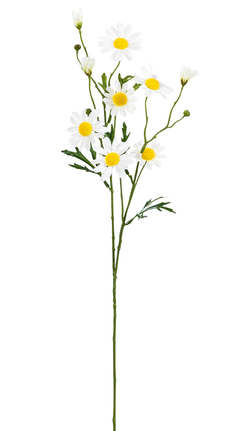 Margeritenzweig x 9 74cm Blütenkopf Ø ca. 1/6cm Farbe: weiß