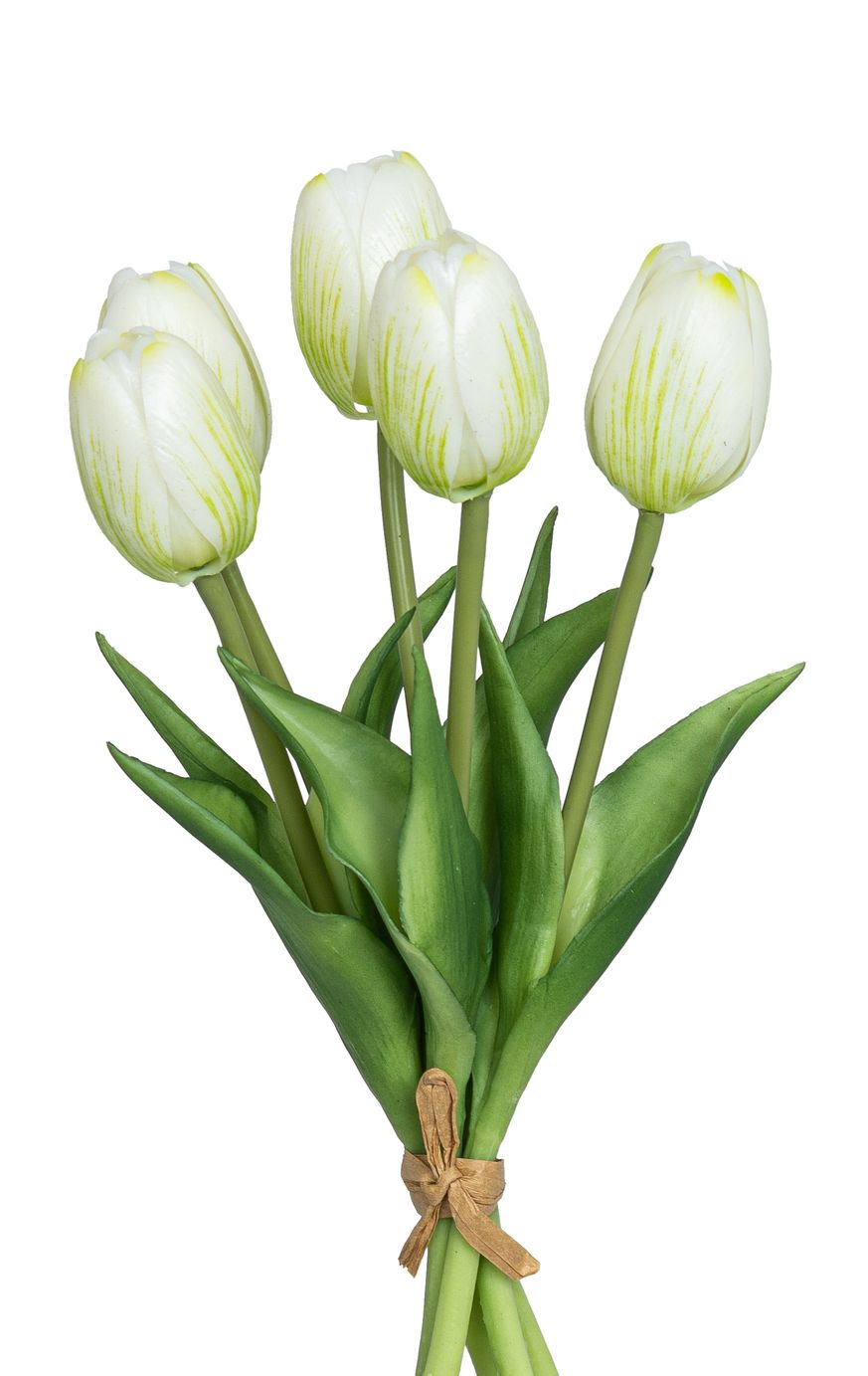 Tulpenbund x 5 26cm Blütenkopf Ø ca. 4cm Farbe: weiß-grün