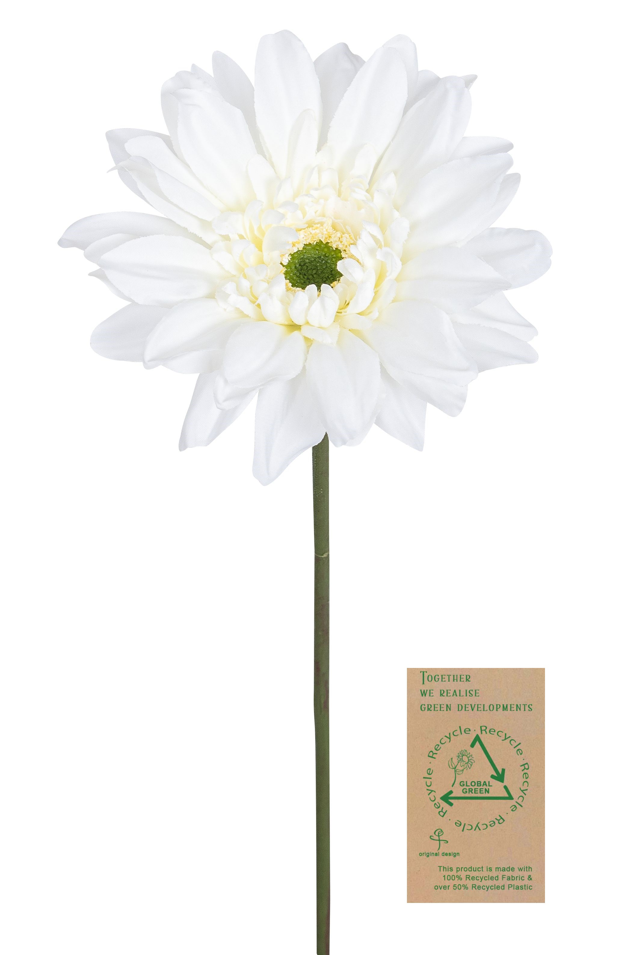 Gerbera RE 66cm Blütenkopf Ø ca. 12cm Farbe: elfenbein