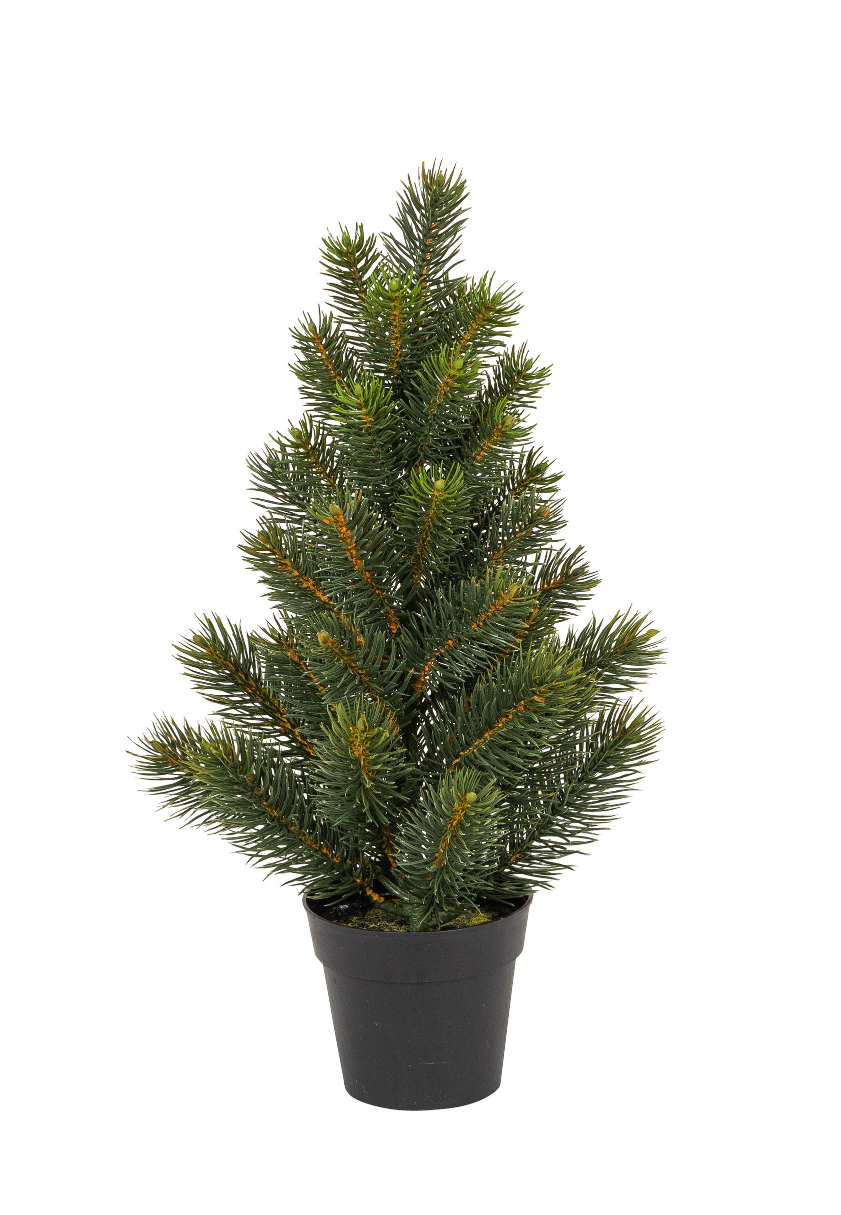 Tannenbaum x 42 im Topf 41cm Farbe: dunkelgrün
