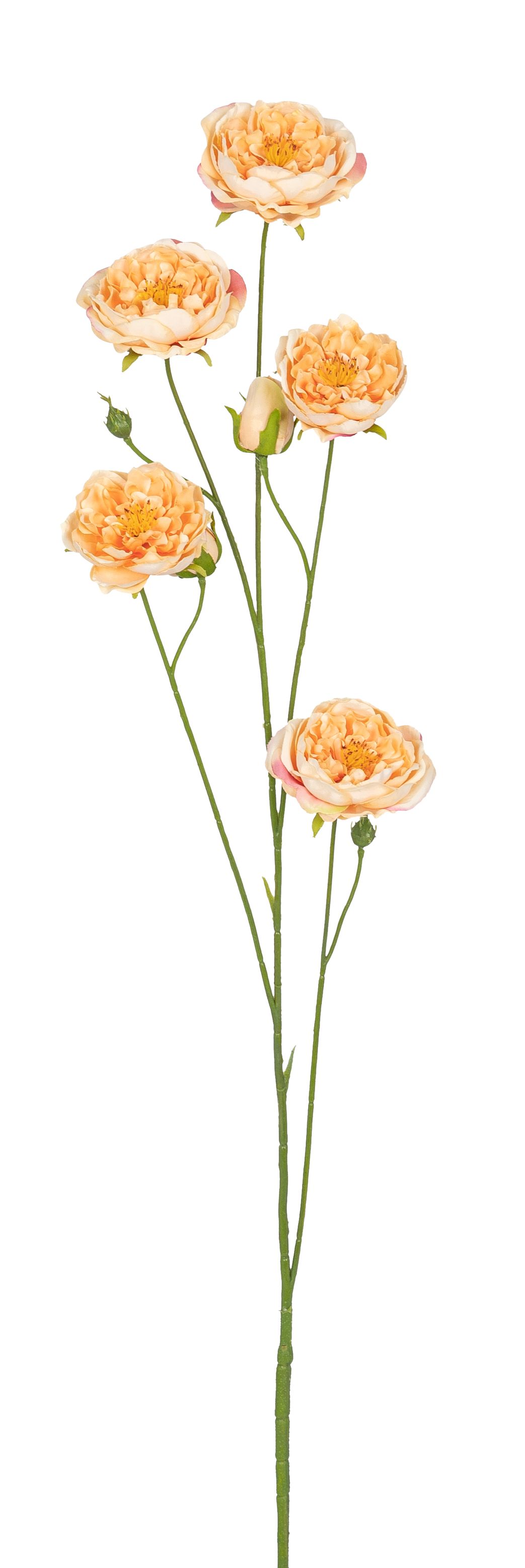 Rosenzweig x 7 89cm Blütenkopf Ø ca. 2,5/6/7,5cm Farbe: lachs