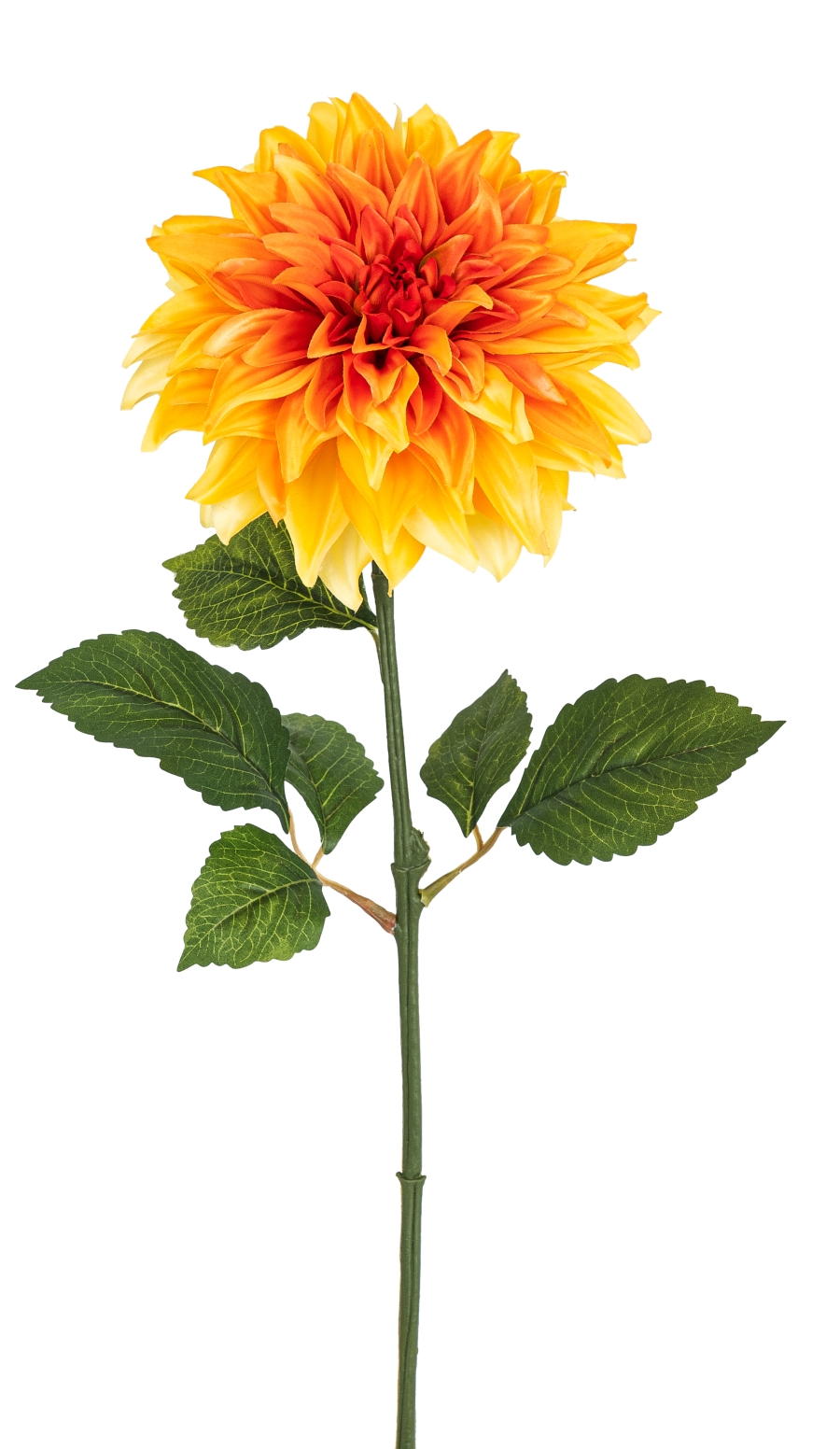Dahlie 72cm Blütenkopf Ø ca. 18cm Farbe: gelb-orange