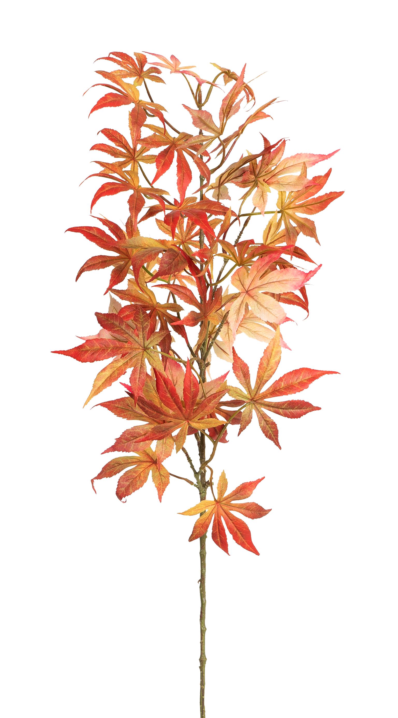 Japanischer Ahornblätterzweig x 39 77cm Farbe: orange-rot