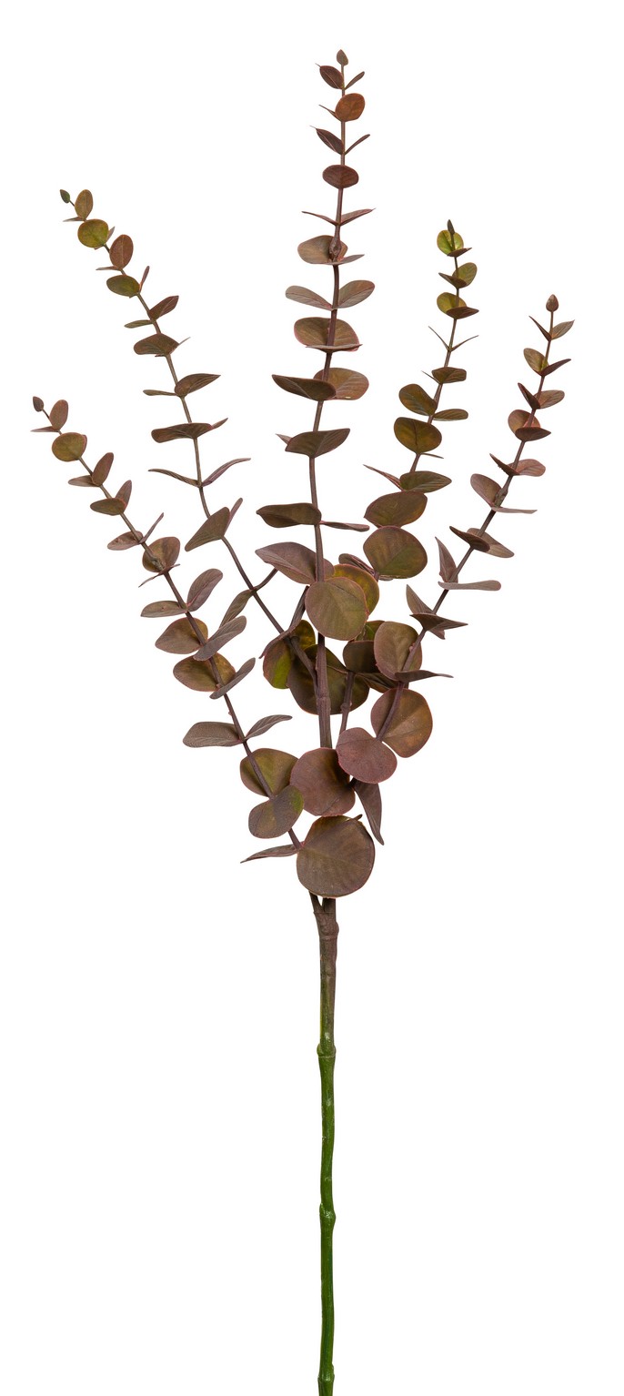 Eukalyptuszweig 5-fach 73cm Farbe: braun-grün