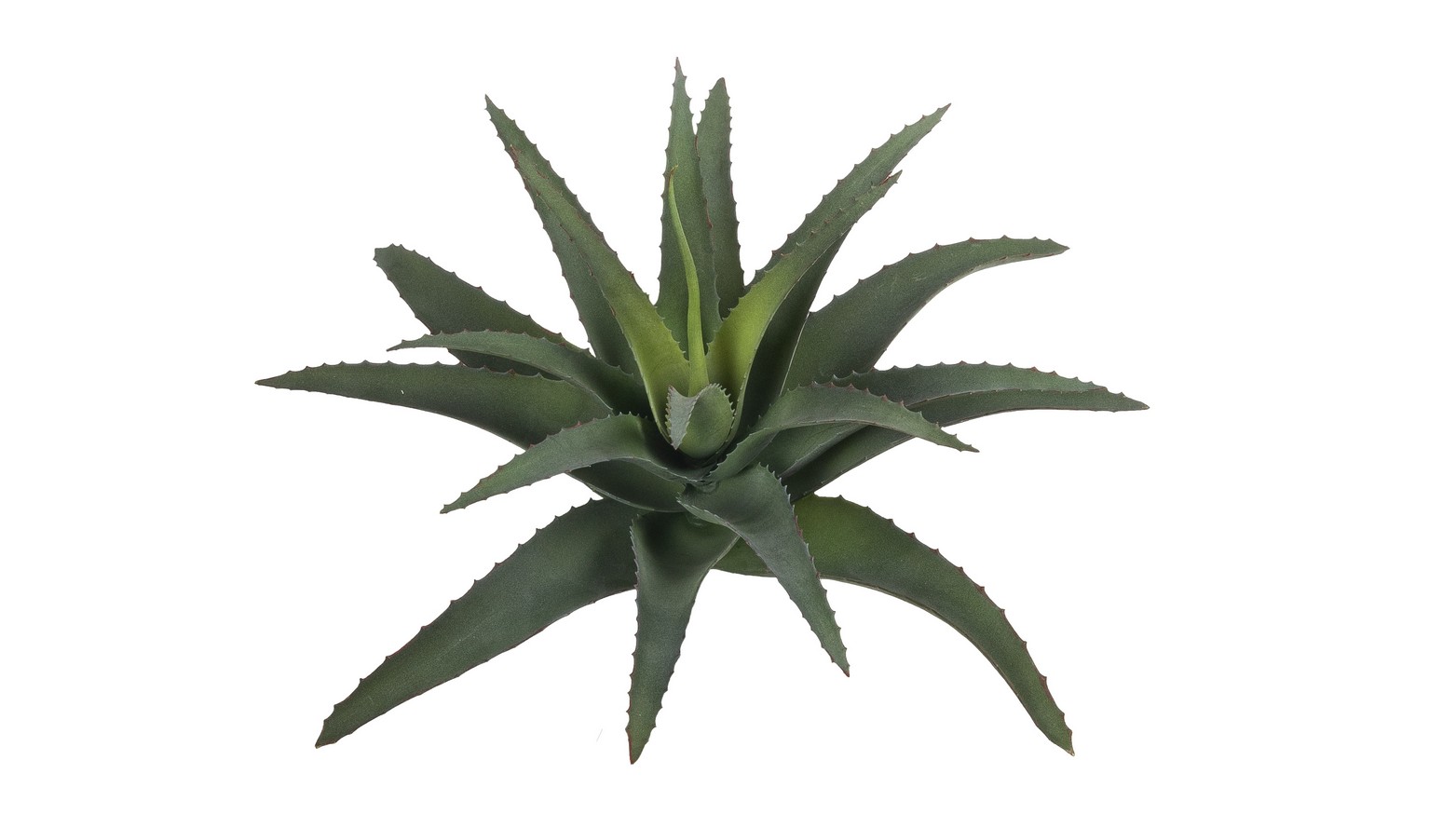Agave 26cm  Ø ca. 34cm Farbe: grün
