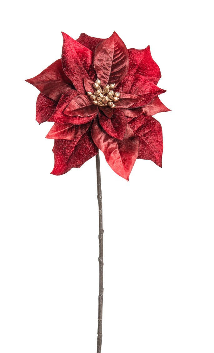 Velvet-Poinsettia 47cm Blütenkopf Ø ca. 17cm Farbe: altrot