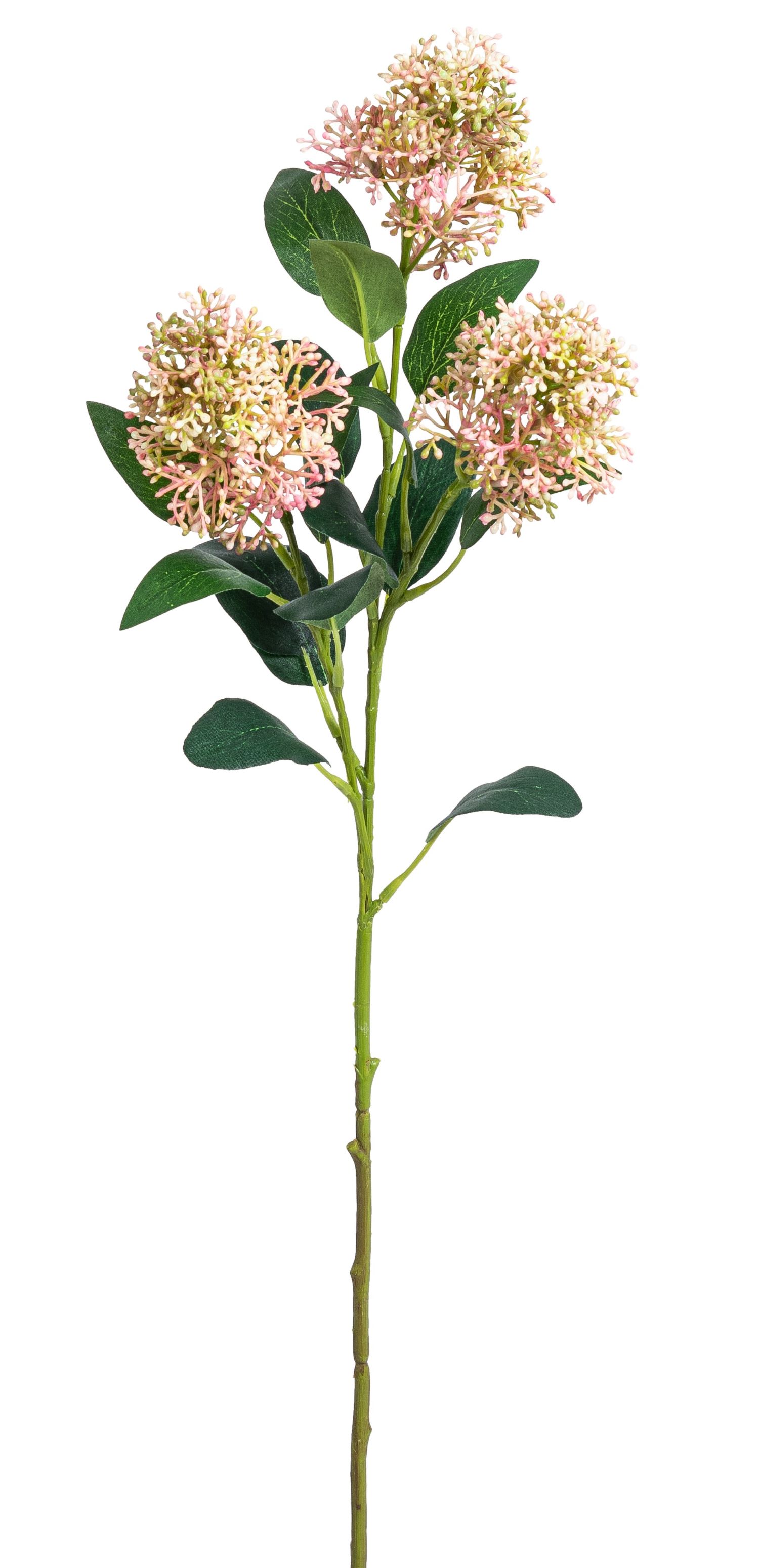 Aglaia x 3 69cm Farbe: rosé