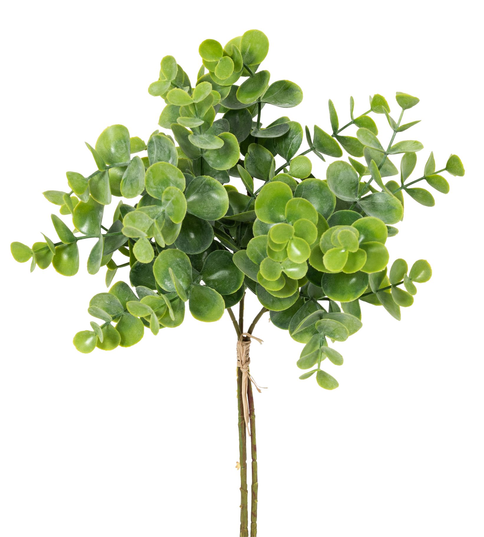 Eukalyptusbund x 3 38cm Farbe: grün