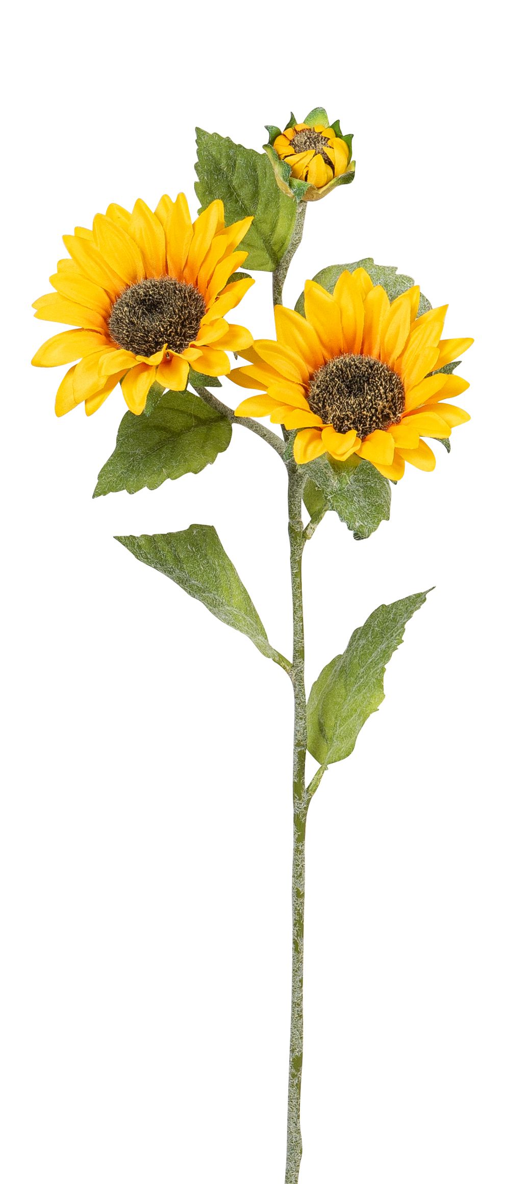 Sonnenblume x 3 62cm Blütenkopf Ø ca. 3/10cm Farbe: gelb