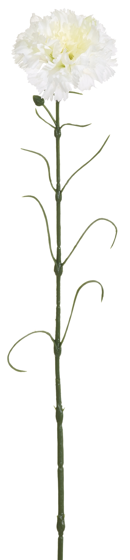 Spraynelke 64cm Blütenkopf Ø ca. 8cm Farbe: weiß