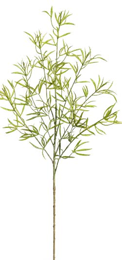 Asparagus-Falcatus 7-fach 83cm Farbe: grün