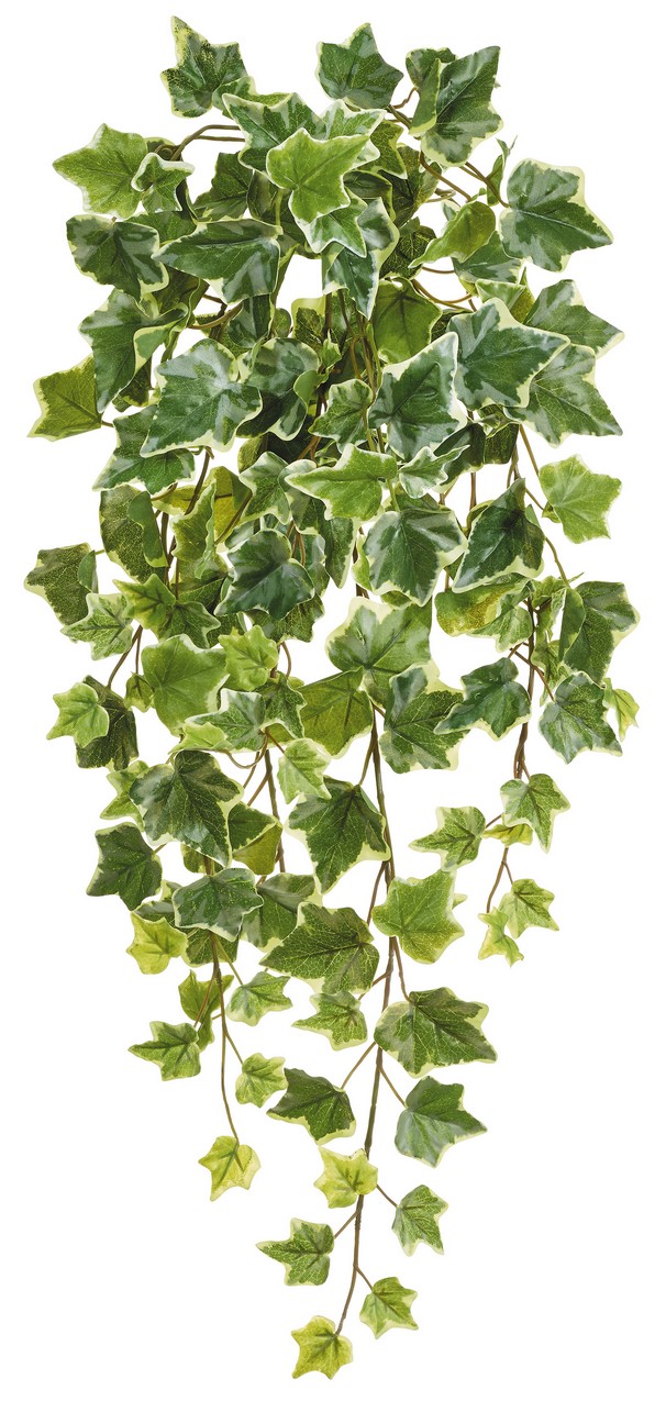 Efeubusch 13-fach x 144 75cm Blattgröße Ø ca. 3,5/4,5/6cm Farbe: grün-weiß