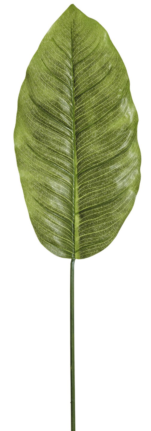 Bananenblatt 32cm Farbe: grün