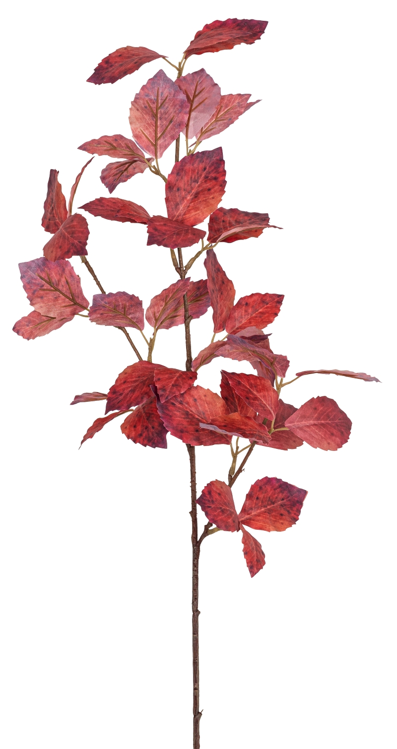 Buchenzweig x 45 73cm Farbe: burgund-goldgelb