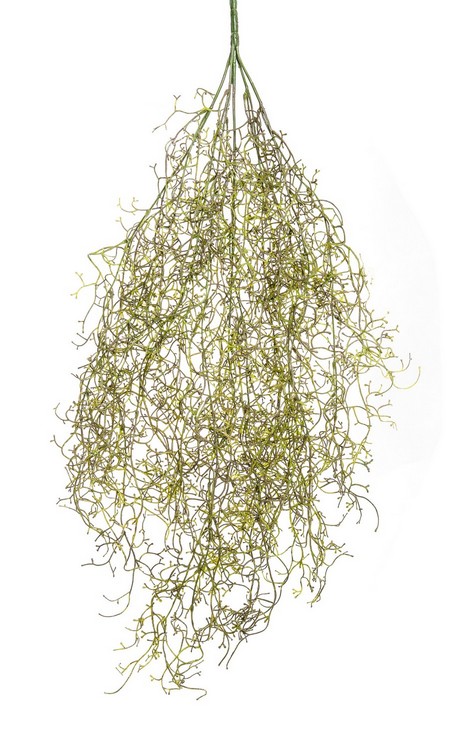 Dschungelgrasranke x 5 80cm Farbe: grün