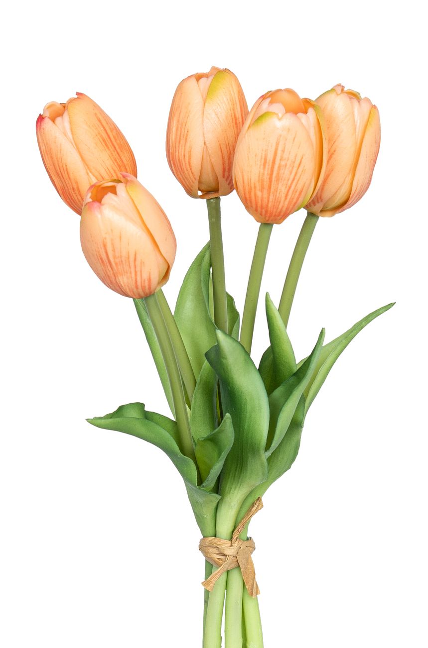Tulpenbund x 5 26cm Blütenkopf Ø ca. 4cm Farbe: orange