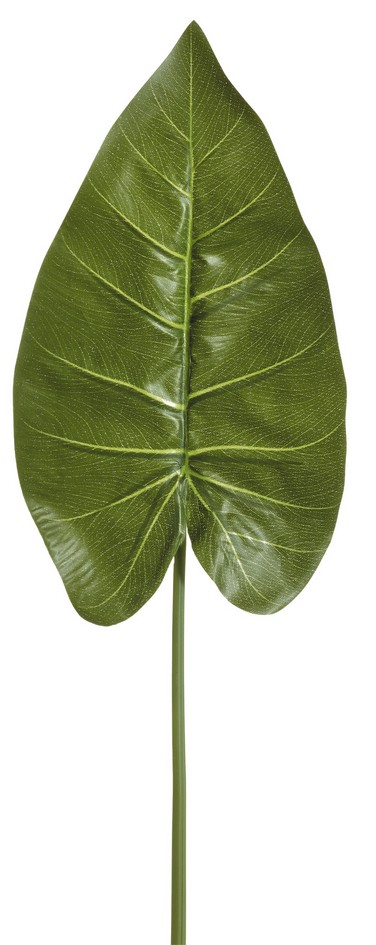 Anthurienblatt 34cm Farbe: grün