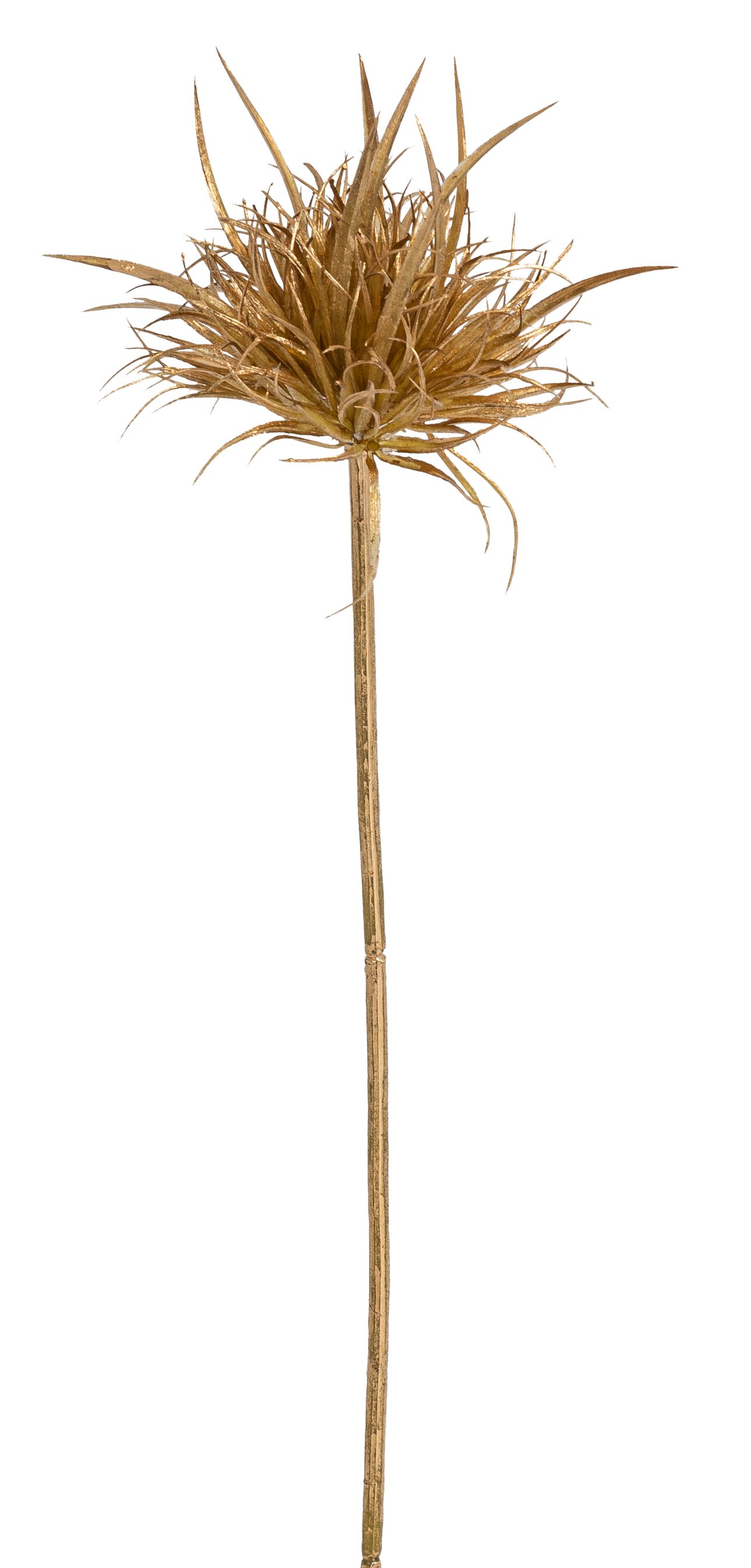 Allium 52cm Blütenkopf Ø ca. 10cm Farbe: gold