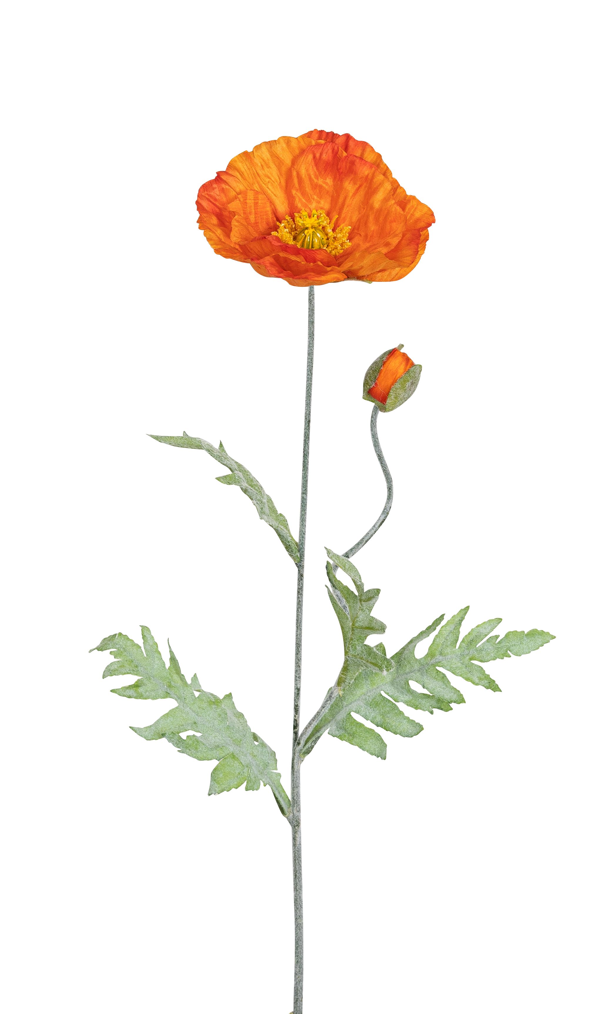 Mohnblumenzweig x 2 73cm Blütenkopf Ø ca. 2,5/12cm Farbe: orange