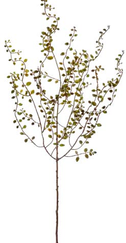 Mühlenbeckiazweig 9-fach 87cm Farbe: grün