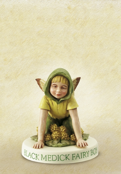 Black Medick Fairy Boy 7cm 